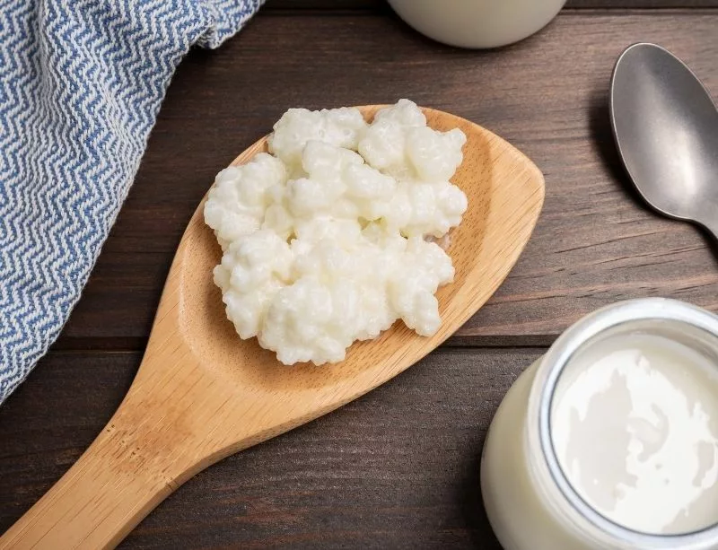 Kefir de Leche